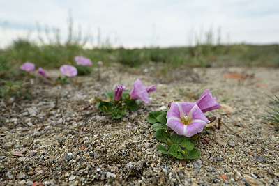 BUITEN BEELD Foto: 413234