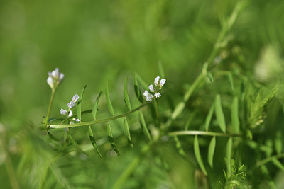 BUITEN BEELD Foto: 413240