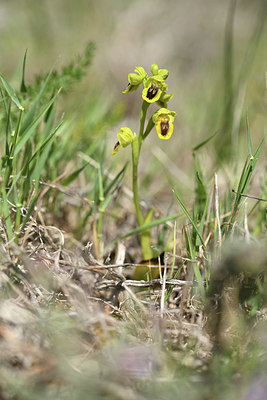 BUITEN BEELD Foto: 413243