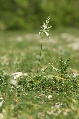BUITEN BEELD Foto: 413271