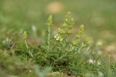 BUITEN BEELD Foto: 413293