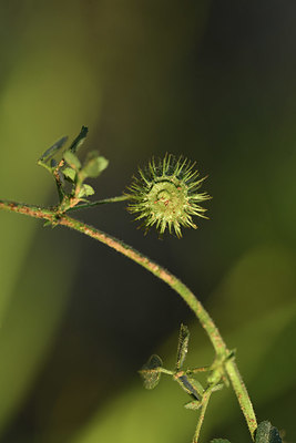 BUITEN BEELD Foto: 413294