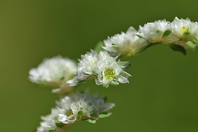 BUITEN BEELD Foto: 413295