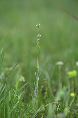 BUITEN BEELD Foto: 413302