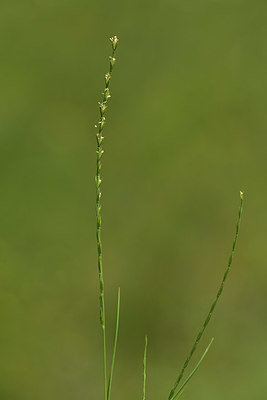 BUITEN BEELD Foto: 413318