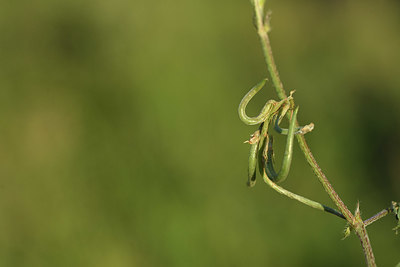 BUITEN BEELD Foto: 413320