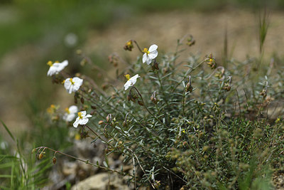 BUITEN BEELD Foto: 413333