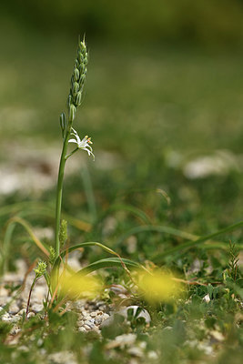 BUITEN BEELD Foto: 413336