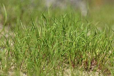 BUITEN BEELD Foto: 413341