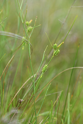 BUITEN BEELD Foto: 413362