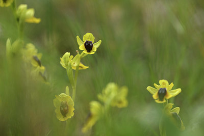 BUITEN BEELD Foto: 413395