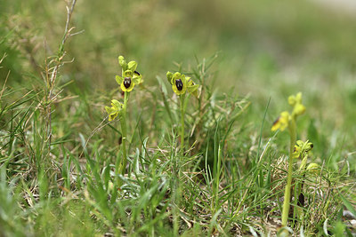 BUITEN BEELD Foto: 413408