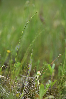 BUITEN BEELD Foto: 413451