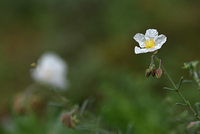 BUITEN BEELD Foto: 413453