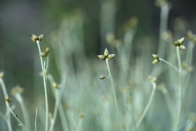 BUITEN BEELD Foto: 413470