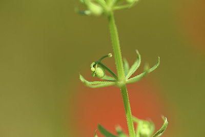 BUITEN BEELD Foto: 413472