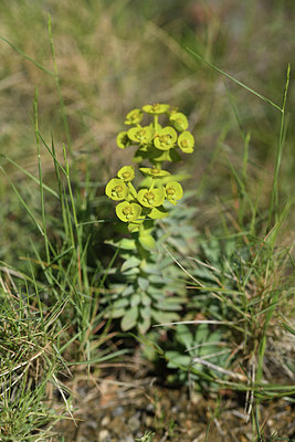 BUITEN BEELD Foto: 413475
