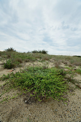 BUITEN BEELD Foto: 413487