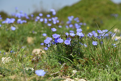 BUITEN BEELD Foto: 413548