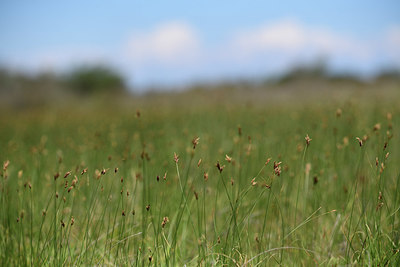 BUITEN BEELD Foto: 413572