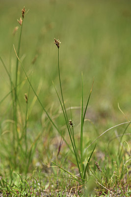BUITEN BEELD Foto: 413595