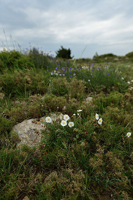 BUITEN BEELD Foto: 413597