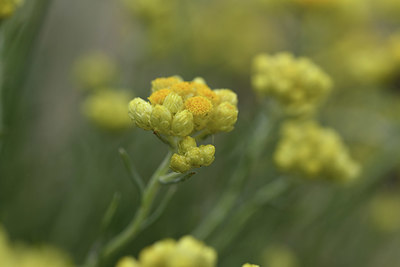 BUITEN BEELD Foto: 413608