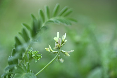 BUITEN BEELD Foto: 413612