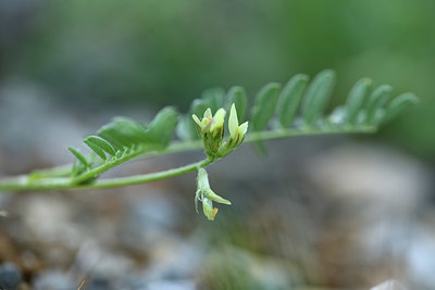 BUITEN BEELD Foto: 413629