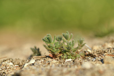 BUITEN BEELD Foto: 413633