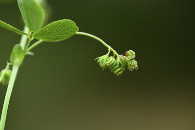 BUITEN BEELD Foto: 413635