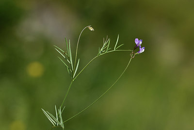 BUITEN BEELD Foto: 413637