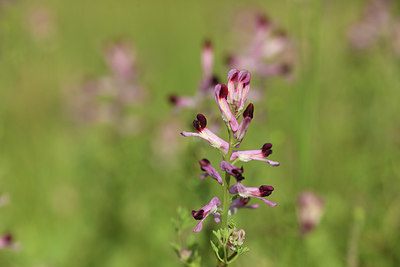 BUITEN BEELD Foto: 413653