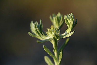 BUITEN BEELD Foto: 413656