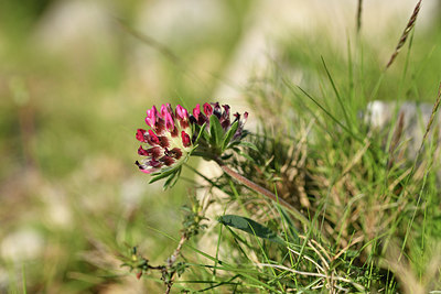 BUITEN BEELD Foto: 413666