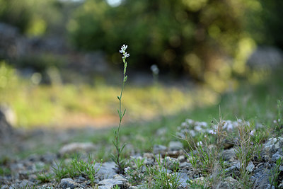 BUITEN BEELD Foto: 413667