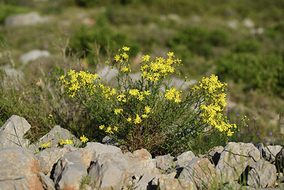 BUITEN BEELD Foto: 413671