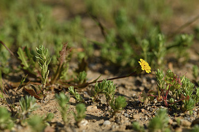 BUITEN BEELD Foto: 413675