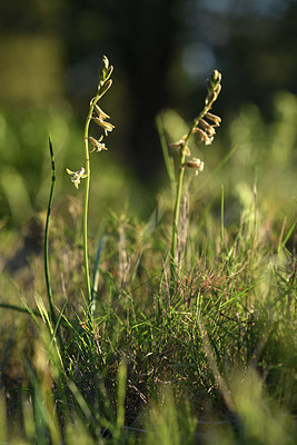 BUITEN BEELD Foto: 413679