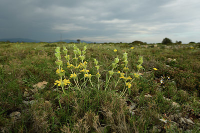 BUITEN BEELD Foto: 413683