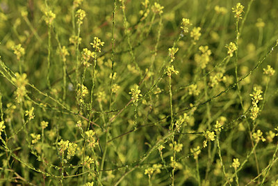 BUITEN BEELD Foto: 413703