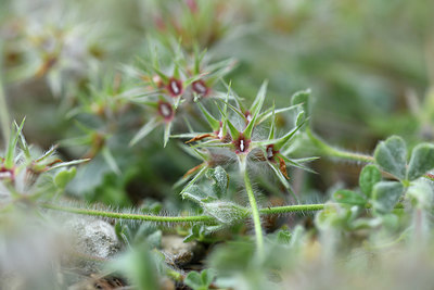 BUITEN BEELD Foto: 413745