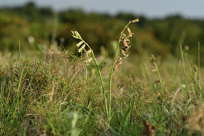 BUITEN BEELD Foto: 413753