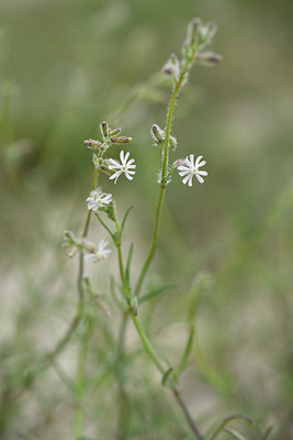 BUITEN BEELD Foto: 413754