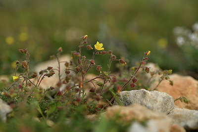 BUITEN BEELD Foto: 413756