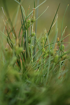 BUITEN BEELD Foto: 413777