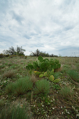 BUITEN BEELD Foto: 413779