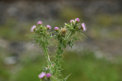 BUITEN BEELD Foto: 413780