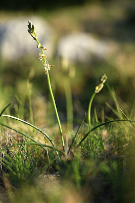 BUITEN BEELD Foto: 413797