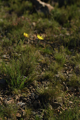 BUITEN BEELD Foto: 413814